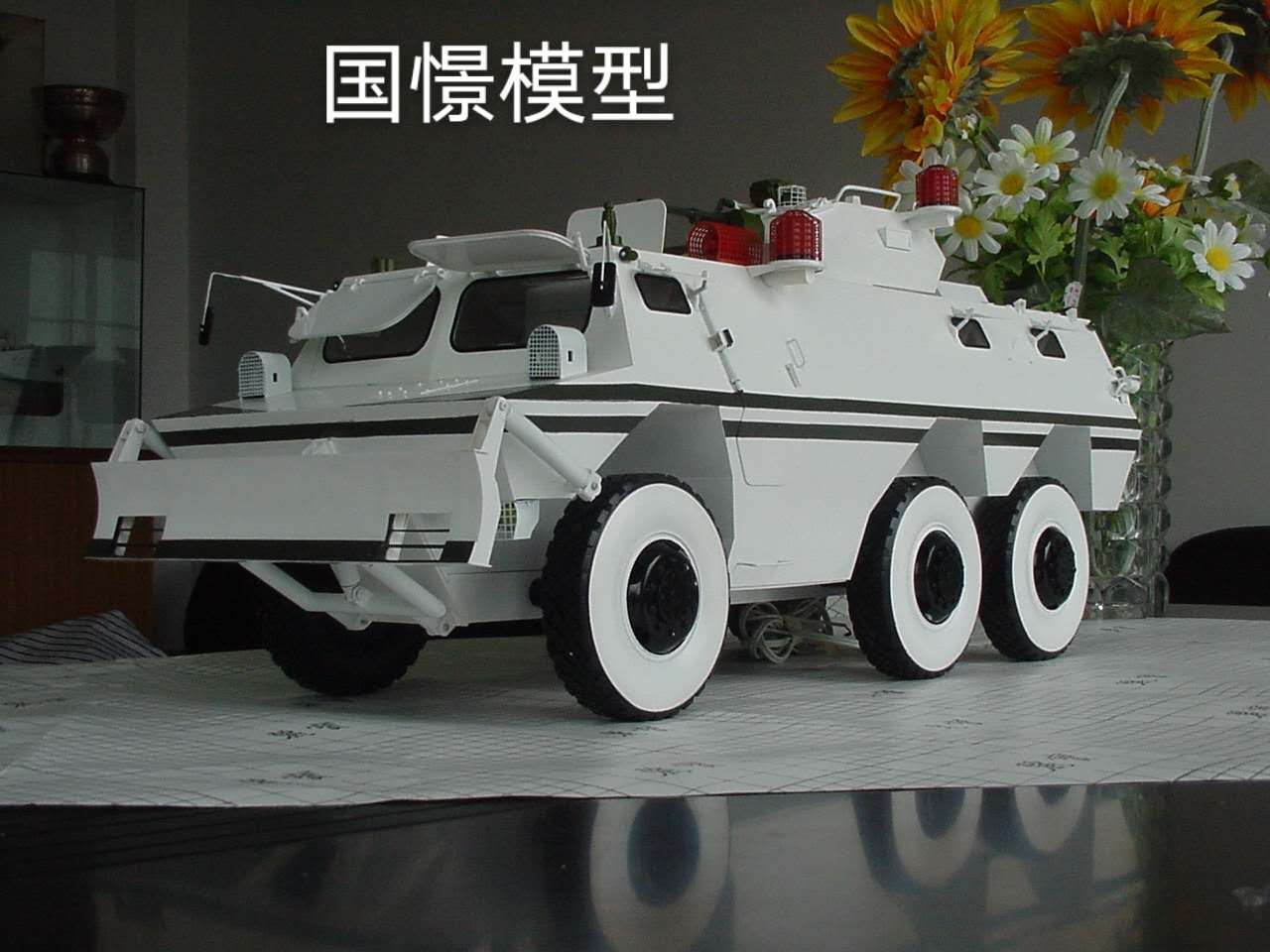 庆元县军事模型